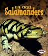 Salamanders - Robin Nelson - 9780761341086