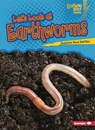 Let's Look at Earthworms - Suzanne Paul Dell'oro - 9780761360407
