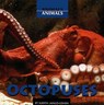Octopuses - JANGO-COHEN,  Judith - 9780761416142