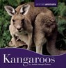 Kangaroos - JANGO-COHEN,  Judith - 9780761418696