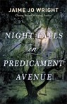 Night Falls on Predicament Avenue - Jaime Jo Wright - 9780764241451