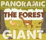 The Forest - Emmanuelle Grundmann - 9780764360992