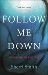 Follow Me Down - Sherri Smith - 9780765386724