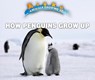 How Penguins Grow Up - IDZIKOWSKI,  Lisa - 9780766096608