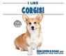 I Like Corgis! - Linda Bozzo - 9780766096769