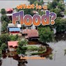 What Is a Flood? - Robin Johnson - 9780778724278