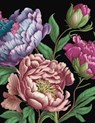 Peonies Journal - Editors of Chartwell Books - 9780785847007