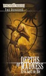 Depths of Madness - Erik Scott De Bie - 9780786956746