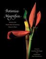 Botanica Magnifica: Portraits of the World's Most Extraordinary Flowers and Plants - Jonathan Singer - 9780789211378