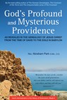 God's Profound and Mysterious Providence - Abraham Park - 9780794608170