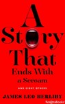 A Story That Ends with a Scream - James Leo Herlihy - 9780795351235