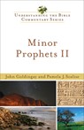 Minor Prophets II: Understanding the Bible Commentary Series - John Goldingay - 9780801046391