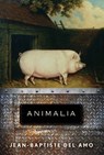 Animalia - Jean-Baptiste del Amo - 9780802149404