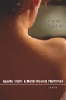 Sparks from a Nine-Pound Hammer - Steve Scafidi - 9780807126943