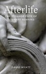 Afterlife - David Wyatt - 9780807183946
