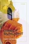 Direct Sunlight: Stories - Christine Sneed - 9780810146167