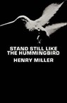 Stand Still Like the Hummingbird - Henry Miller - 9780811203227