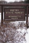 Poetry State Forest - Bernadette Mayer - 9780811217231