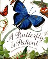 Butterfly Is Patient - Dianna Hutts Aston - 9780811864794