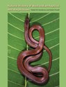 Natural Histroy Of West Indian Reptiles And Amphibians - Robert W. Henderson - 9780813033945