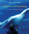 A Shimmer of Something - Brian Doyle - 9780814637142