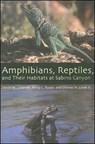 Amphibians, Reptiles, and Their Habitats at Sabino Canyon - David W. Lazaroff ; Philip C. Rosen ; Charles H. Jr. Lowe - 9780816524952