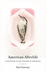 American Afterlife - Kate Sweeney - 9780820350585