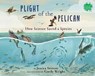 Plight of the Pelican - Jessica Stremer - 9780823457038