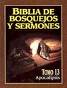 Biblia de Bosquejos y Sermones-RV 1960-Apocalipsis - Anonimo - 9780825410185