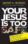 Your Jesus Is Too Safe - WILSON,  Jared - 9780825444425