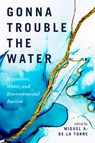 GONNA TROUBLE THE WATER - Miguel A. de la Torre - 9780829821697