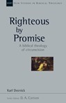 Righteous by Promise: A Biblical Theology of Circumcision - Karl Deenick - 9780830826469