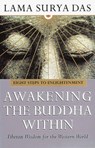 Awakening The Buddha Within - Surya Das - 9780857501912
