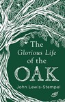 The Glorious Life of the Oak - John Lewis-Stempel - 9780857525819
