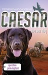 Caesar the War Dog 3: Operation Pink Elephant - Stephen Dando-Collins - 9780857981691