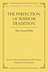 The Perfection of Wisdom Tradition - Gareth Sparham - 9780861714568