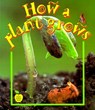 HOW A PLANT GROWS - Bobbie Kalman - 9780865057289