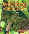 What Are Camouflage & Mimicry? - Bobbie Kalman - 9780865059627