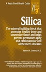 Silica - Edward A. Lemmo - 9780879839055