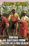 Our Nig; Or, Sketches from the Life of a Free Black. Illustrated - Harriet E. Wilson - 9780880044202