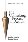 The Consulting Process in Action - Gordon L. Lippitt ; Ronald Lippitt - 9780883902011