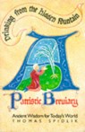 Drinking from the Hidden Fountain - Thomas Spidlik - 9780904287394