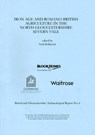 Iron Age and Romano-British Agriculture in the North Gloucestershire Severn Vale - Neil Holbrook - 9780955353437