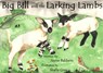 Big Bill and the Larking Lambs -  - 9780957640276
