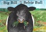 Big Bill the Beltie Bull -  - 9780957640283