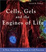 Cells, Gels and the Engines of Life - Gerald H. Pollack - 9780962689529