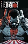 Bloodshot Volume 1 - Duane Swierczynski - 9780979640964