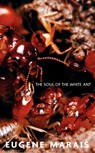 The Soul of the White Ant - Eugene N Marais - 9780980297652