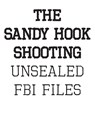 The Sandy Hook Shooting - Fbi - 9780986275227