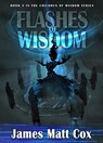Flashes of Wisdom - James Matt Cox - 9781005687236